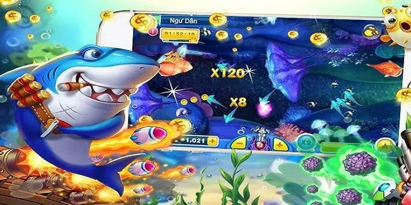 Nhà cái cho hiển thị số xu cộng trừ trực tiếp